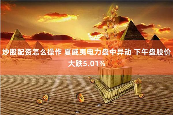 炒股配资怎么操作 夏威夷电力盘中异动 下午盘股价大跌5.01%