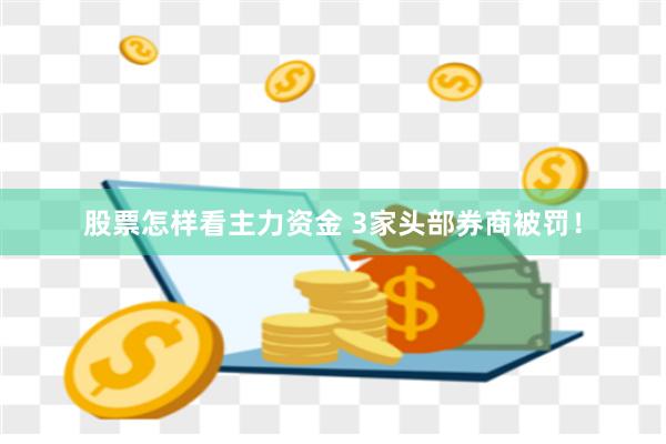 股票怎样看主力资金 3家头部券商被罚！